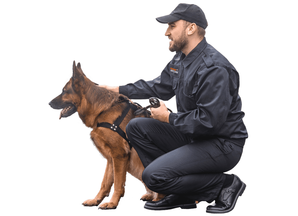 Specialist On-Site Protection Using Security Dog Services Bristol