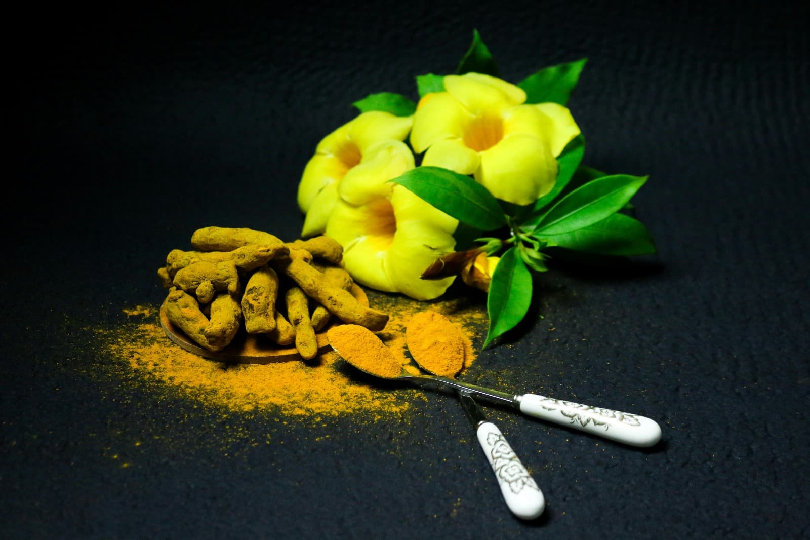 Ayurveda Online Courses with Practical Lessons for Daily Life